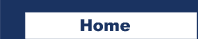 home button